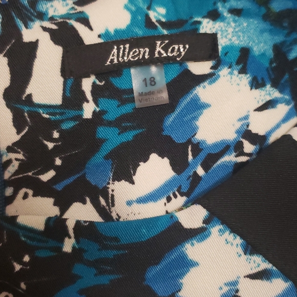 Allen Kay Dress - Picture 4 of 5